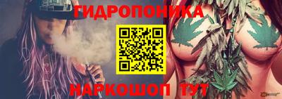 Альфа ПВП Ипатово