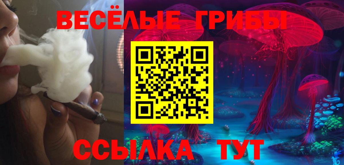 Псилоцибиновые грибы Psilocybine cubensis Лянтор